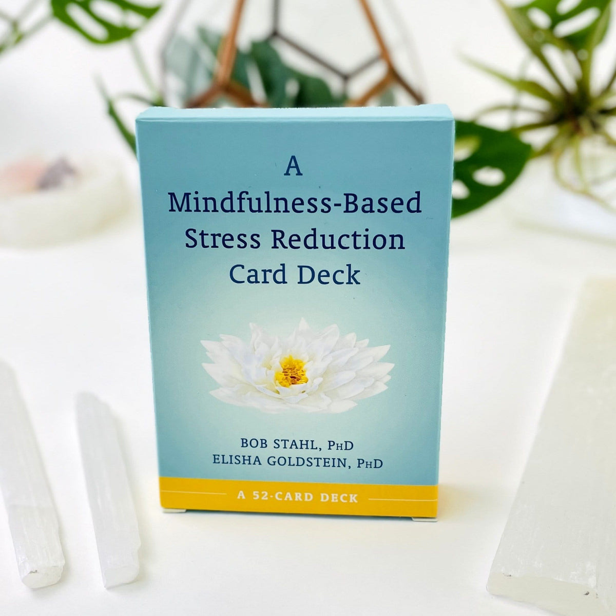 A Mindfulness-Based Stress Reduction Card Deck - (CARDDECK-23)