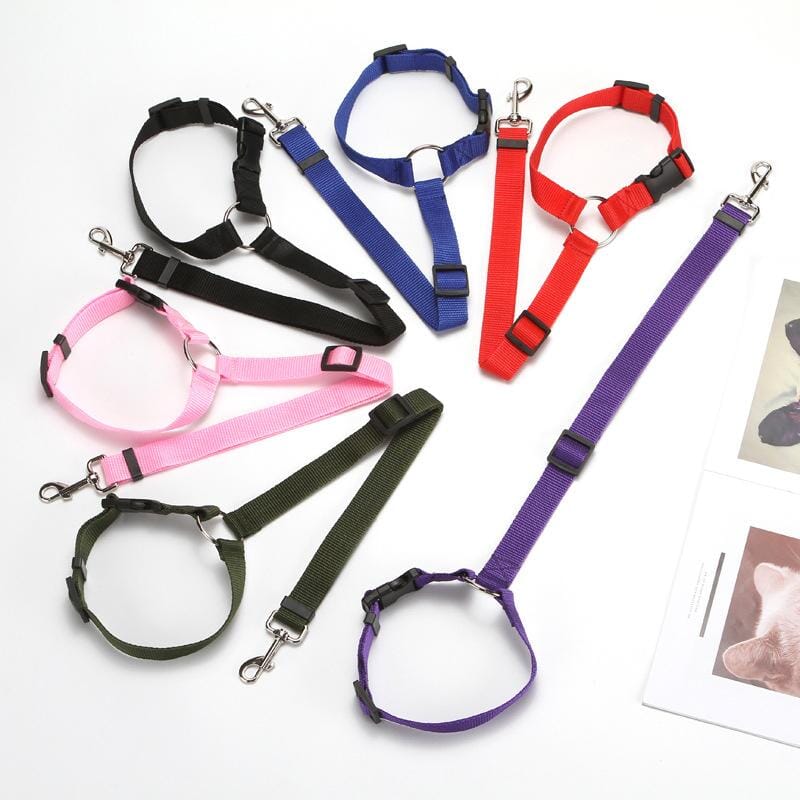 Adjustable Car Dog Leash