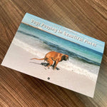 2024 Dogs Pooping in Beautiful Places Calendar