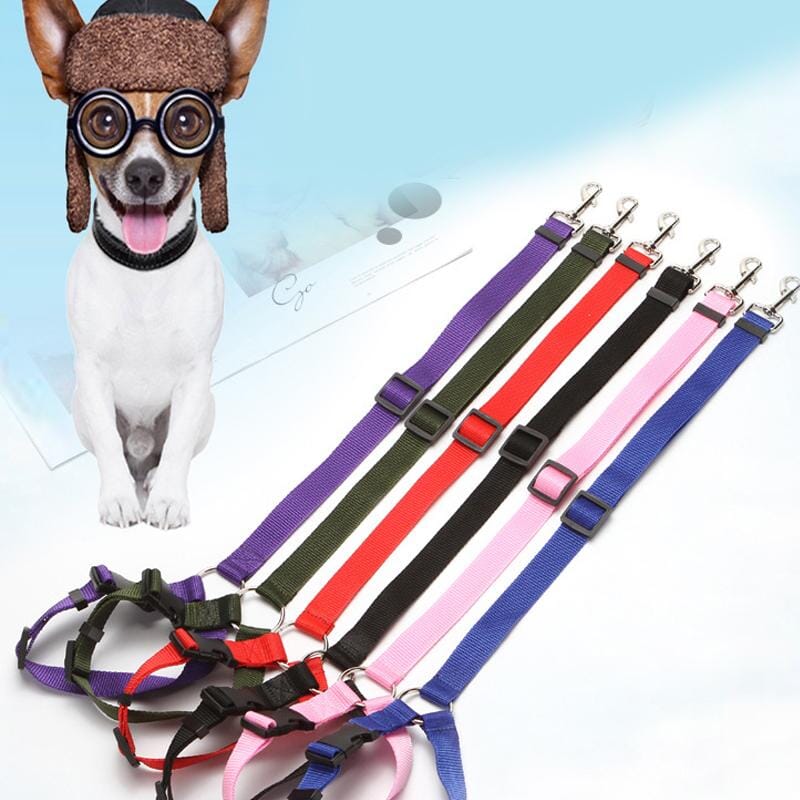 Adjustable Car Dog Leash