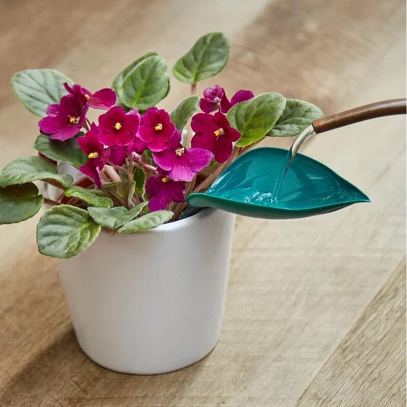 Funny Watering Leaves (6pcs)