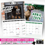 Cheeky Dachshunds - 2024 Wall Calendar