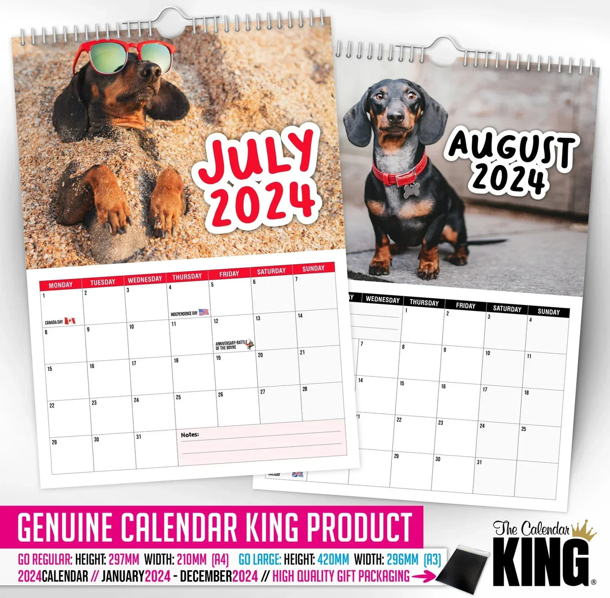 Cheeky Dachshunds - 2024 Wall Calendar