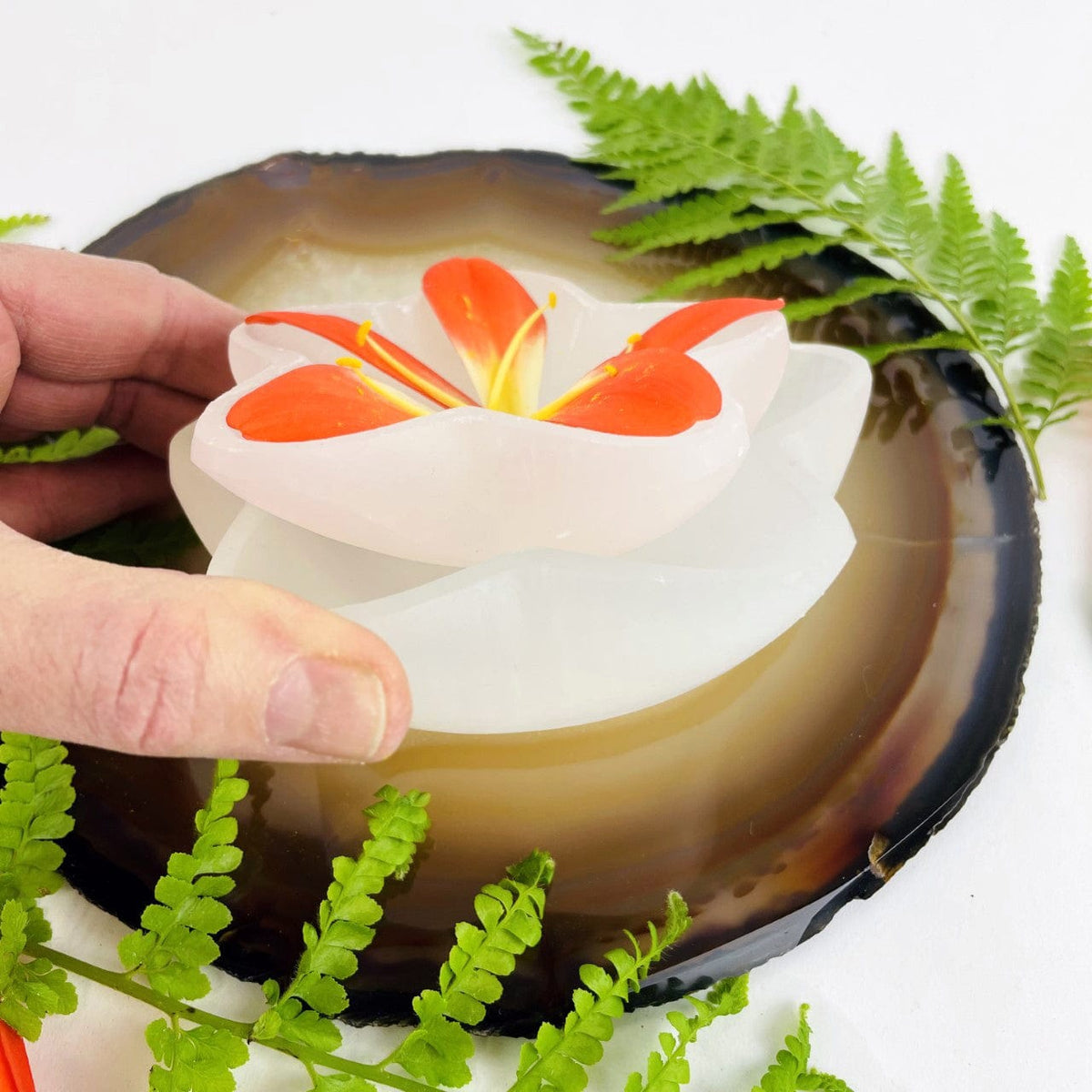 Selenite Dish - Star Flower Bowl - Reiki Star Charging Bowl - Altar Plate Charging Station