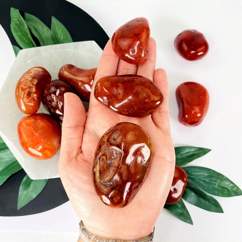 Carnelian Crystal Tumbled Stones - XLarge Size - Choose 1,3 5 Pieces