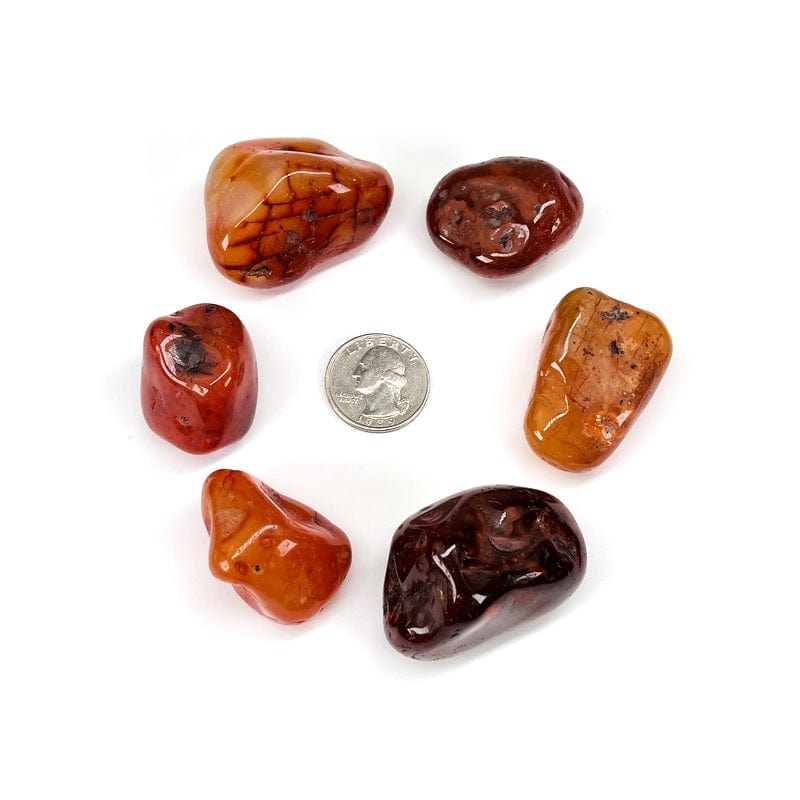 Large Carnelian Tumbled Stone - Red Polished Beauties! - Choose Your Qty 1,3 5 Pieces (TS-83)