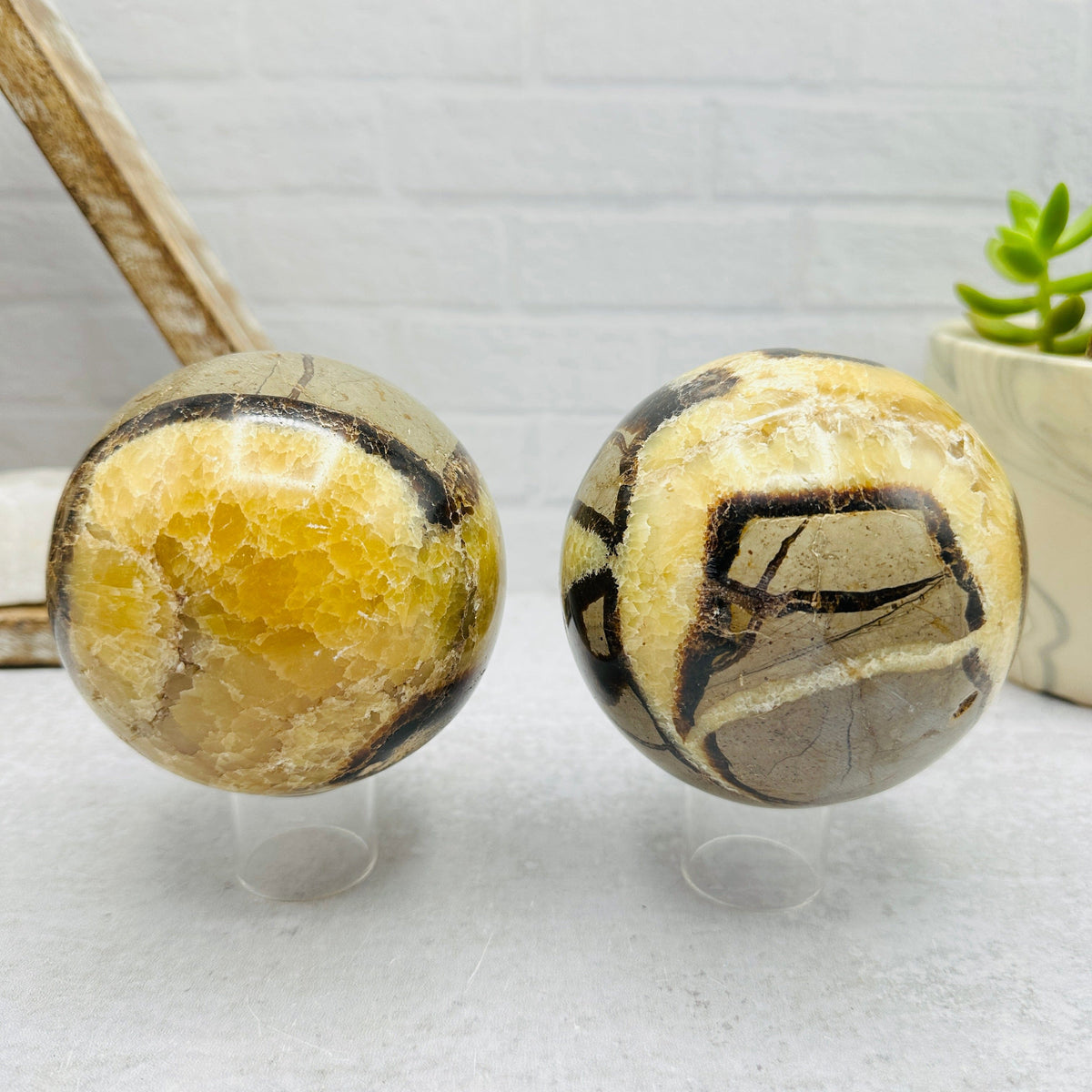 Septarian PolishedSpheres - You Choose