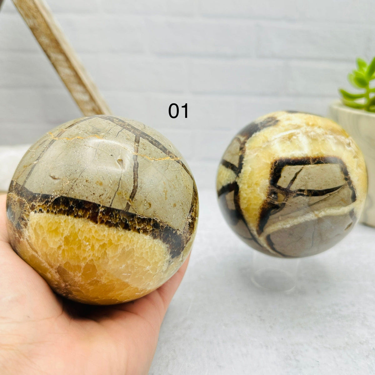 Septarian PolishedSpheres - You Choose