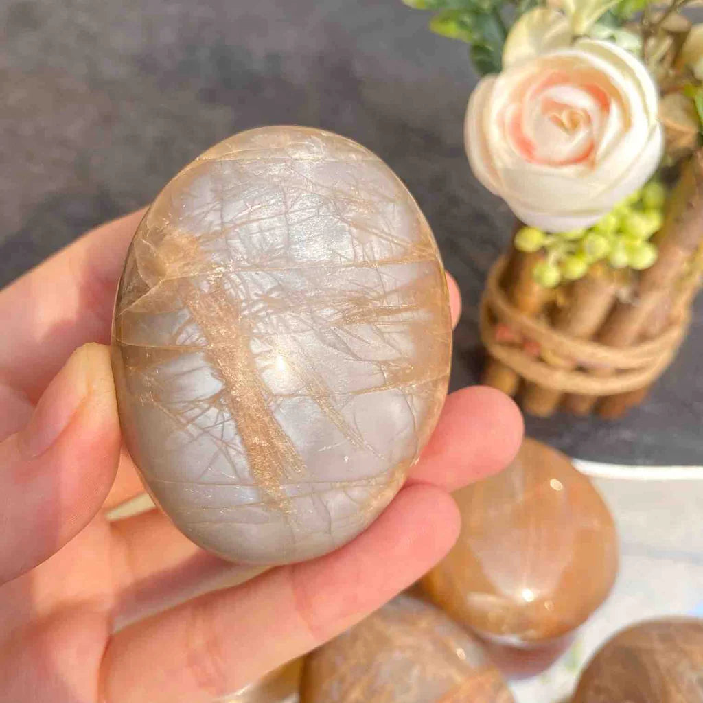 Peach Moonstone Palm