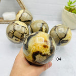 Polished Septarian Sphere - You Choose