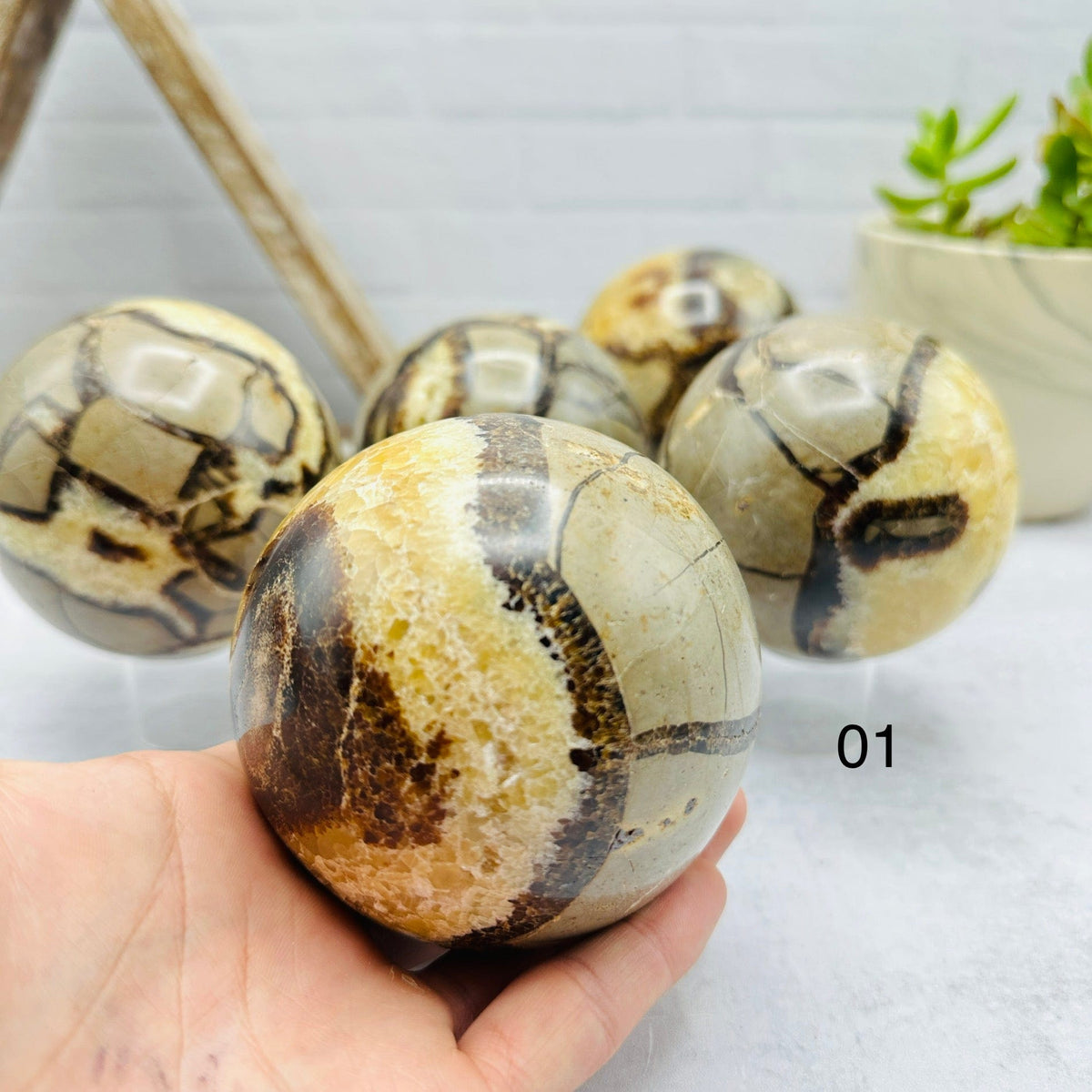 Polished Septarian Sphere - You Choose