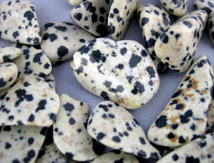 5 pc Dalmatian Jasper Crystal Chips-- Tumbled Dalmatian Jasper Chips