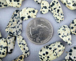 5 pc Dalmatian Jasper Crystal Chips-- Tumbled Dalmatian Jasper Chips