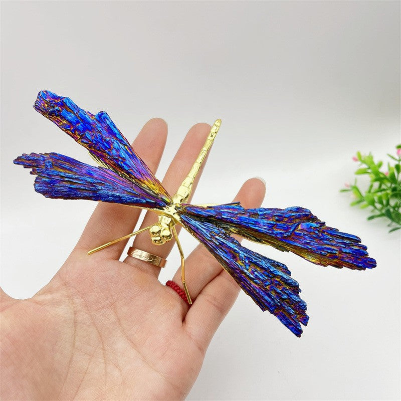 Aura Tourmaline Kyanite Dragonfly