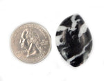 Zebra Jasper Stone -- Free-form Zebra Cabochons - (RK36B18-12)